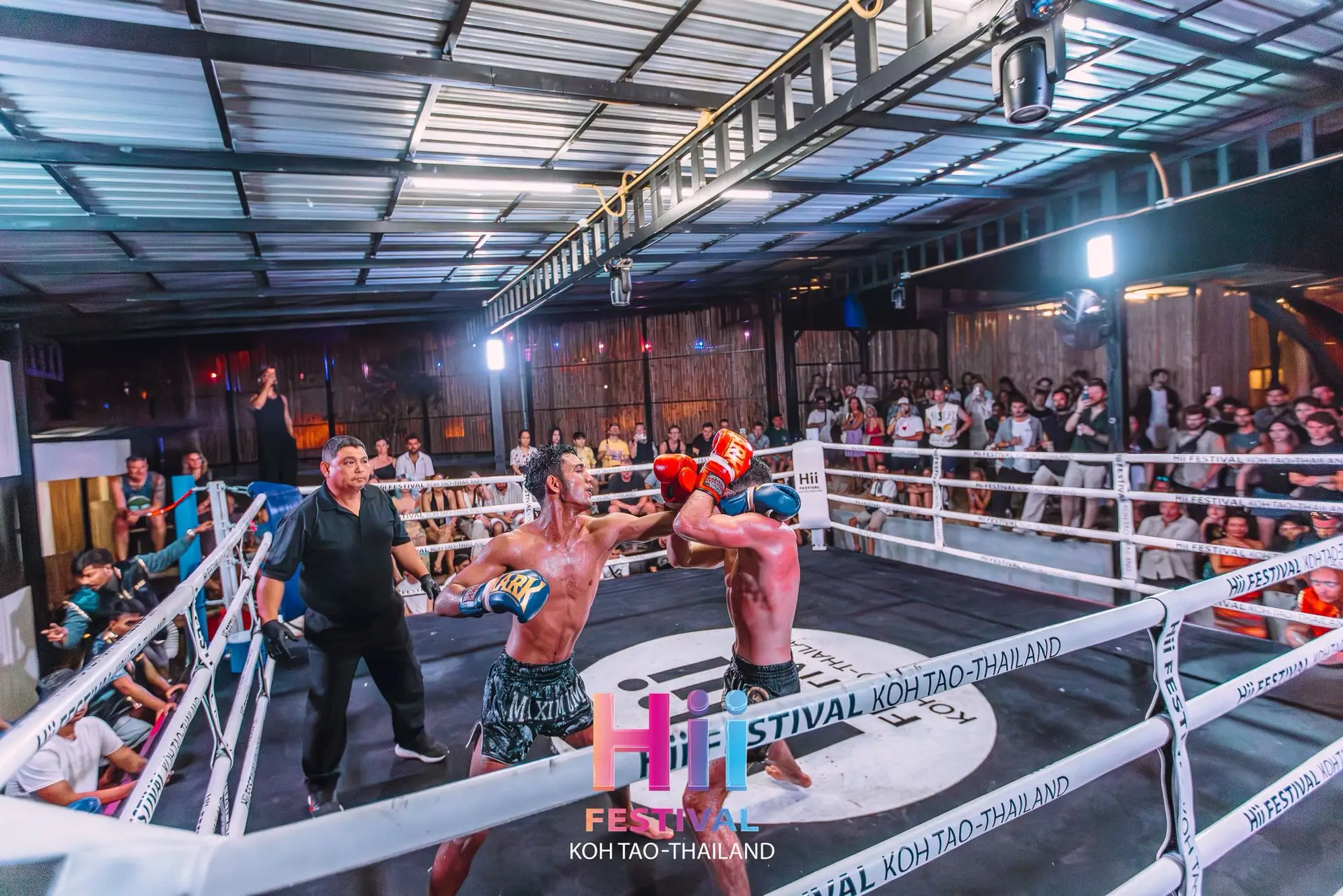 WhatsApp Image 2026-01-02 at 15.44.27 (1)