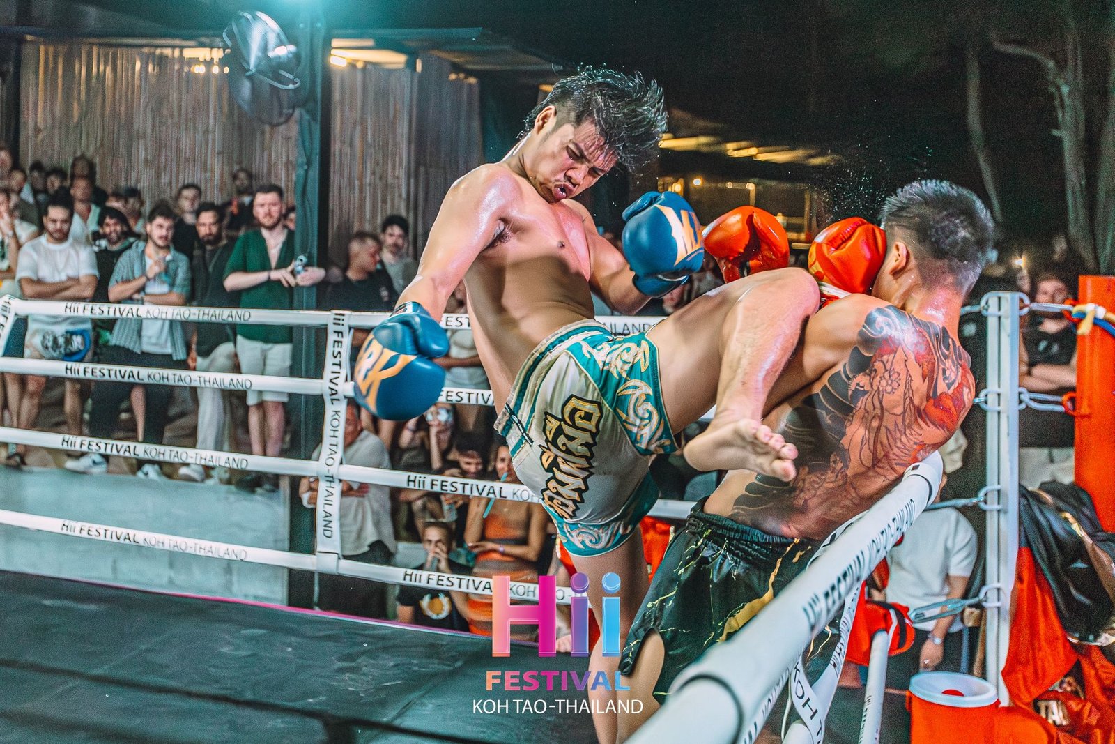 WhatsApp Image 2026-01-02 at 15.44.31 (1)