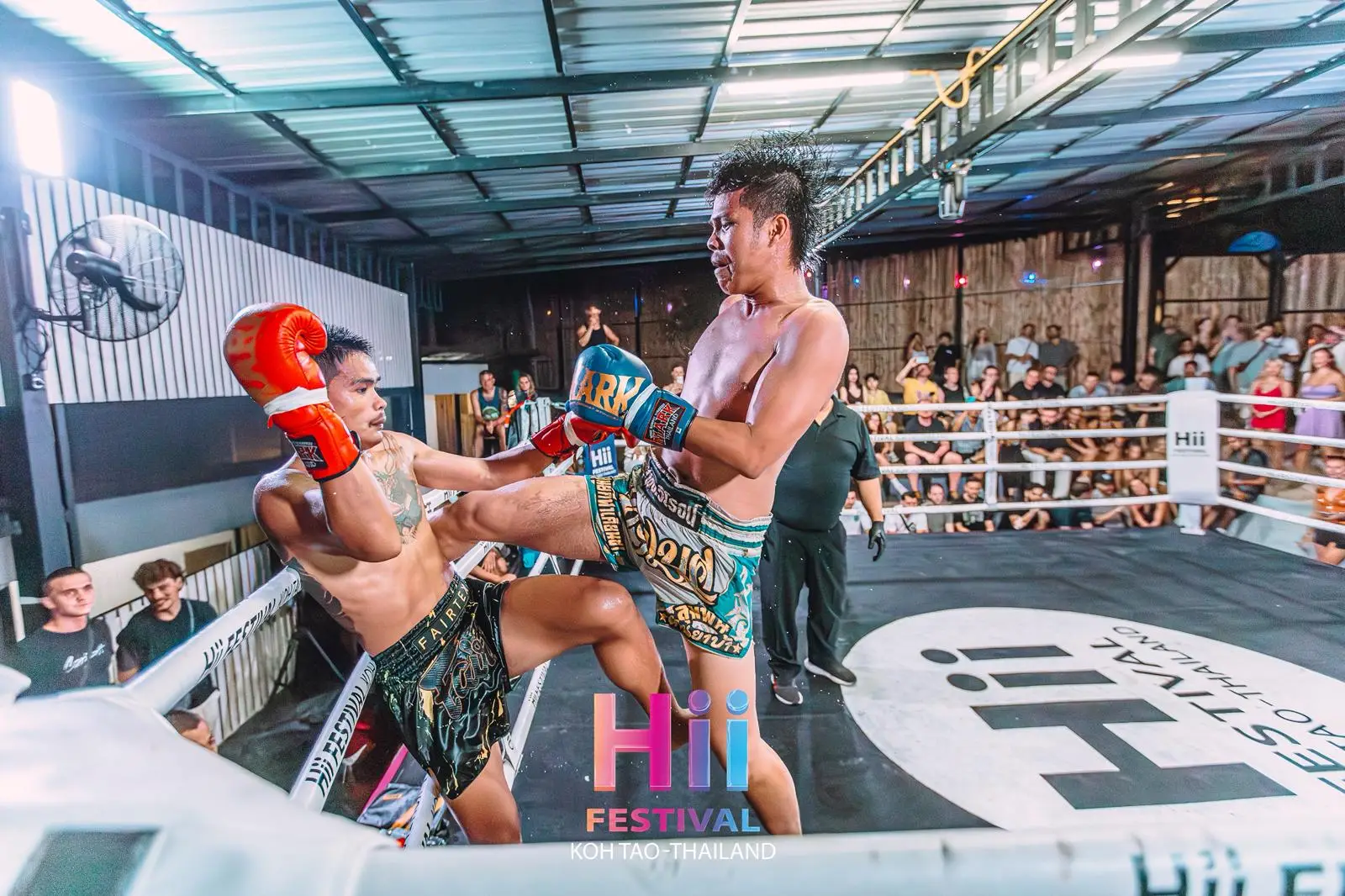 WhatsApp Image 2026-01-30 at 03.52.40